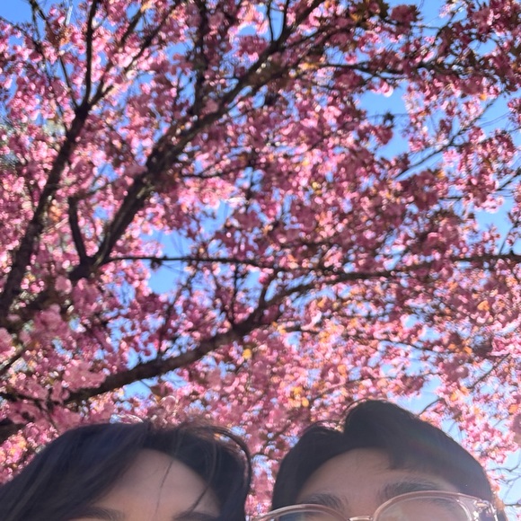 goldbentree